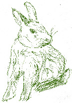 Rabbits, risk and reward, autobiography